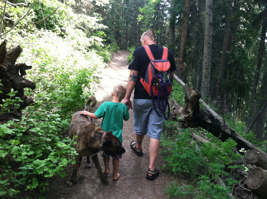 Adventuring with Pets: What You Need to Know: Advice for bringing pets on outdoor adventures.