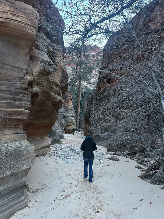 Mindfulness in the Wild: Finding Peace on the Trail