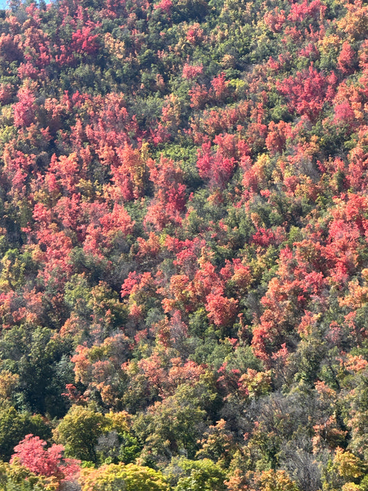 Best Fall Foliage Hikes