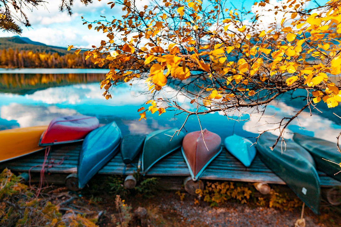 Multicolored kayaks upside down on lake shore. Image by Joshua Woroniecki from Pixabay
