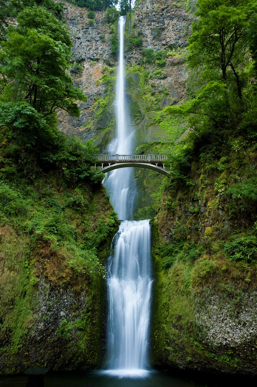 TALL WATERFALL SURROUNDED BY GREEN MOSSY ROCKS. Image by Todd Kay from Pixabay