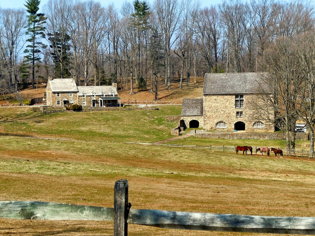 RURAL FARM WITH ROCK BUILDINGS