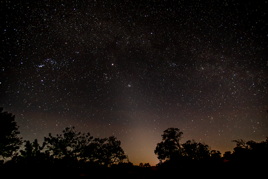 Wild Camping Under the Stars