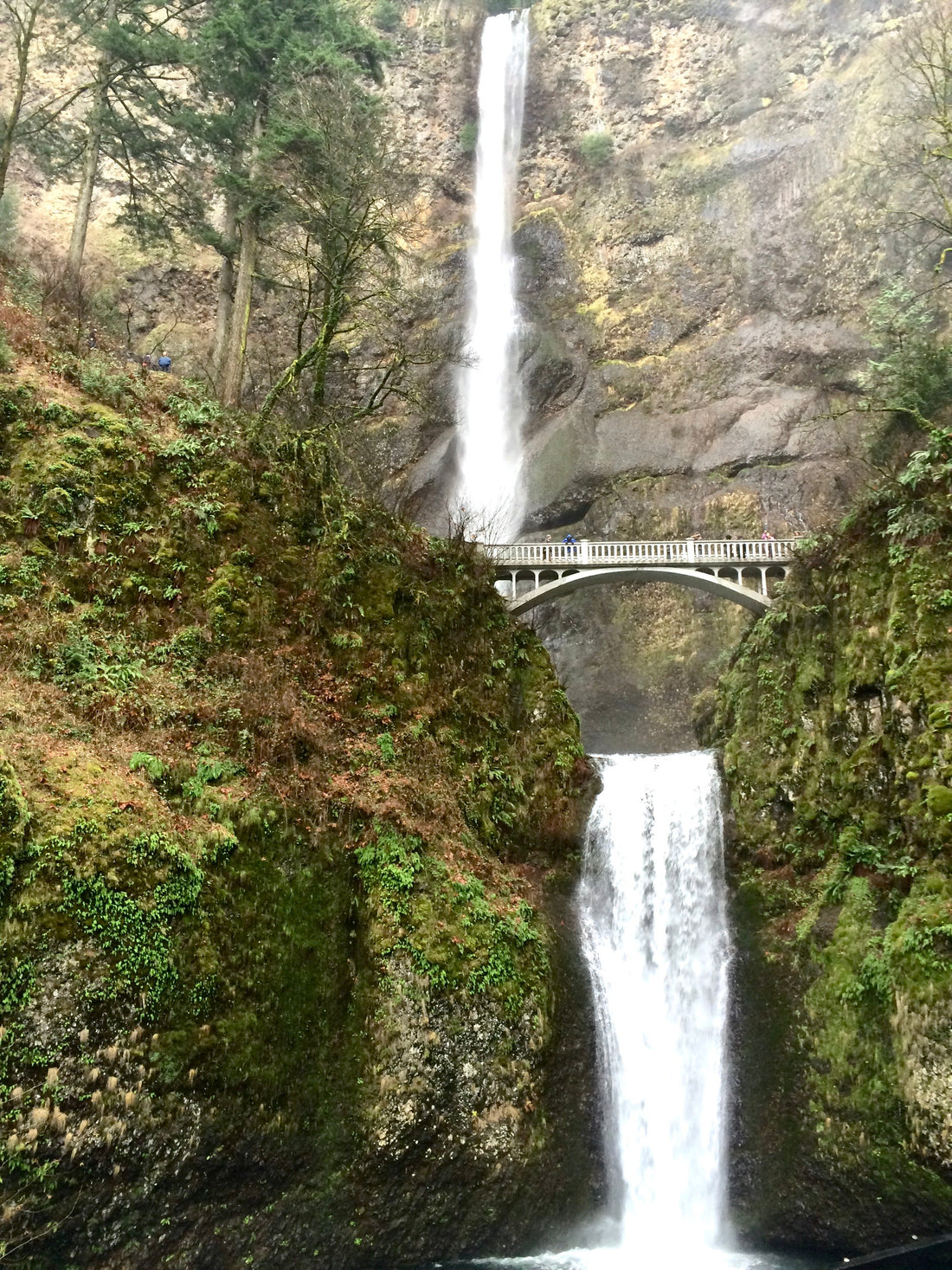 How about a waterfall this spring?