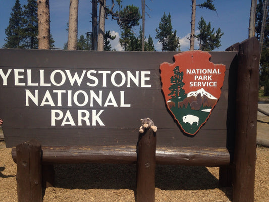 Ultimate National Park bucket list!