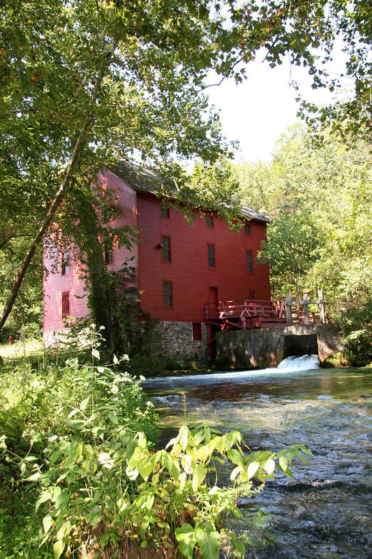 RED BARN IN FOREST